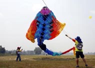 International Kite Festival International Kite Festival