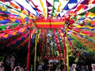 Jaipur Festivals Jaipur Festivals