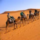 Desert Circle Tour