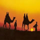 Desert Paradise Tour